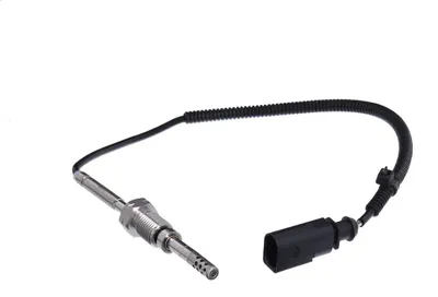 Image de capteur de température des gaz d'échappement EGT VW