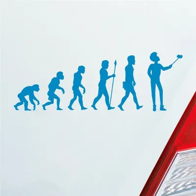 Produktbild von Auto Aufkleber Evolution Selfie Stick Handy Entwicklung Darwin 19x6,7 cm Hellblau Sticker Heckscheibenaufkleber