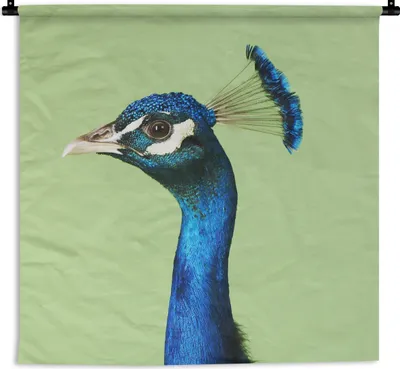 Produktbild von MuchoWow® Wandteppich Wandbehang Pfau - Vogel - Federn 60x60 cm Tapisserie Dekoration Wandtuch - Dekorationen - Wand Decke