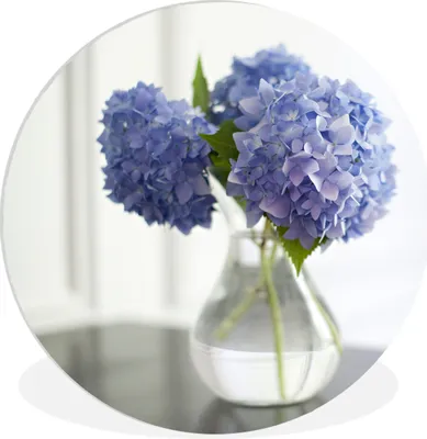 Produktbild von MuchoWow® Rundes Wandbild - Runde Bilder Blaue Hortensien in Vase Ø 60 cm Kreis Wanddekoration Kunststoff - Wandkreis - Wandschmuck - Wand Kreis - Das Schlafzimmer - Die Bilder - Wandmalerei - Kunst für das Haus - das Plastik