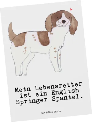 Produktbild von Mr. & Mrs. Panda Ansichtskarte English Springer Spaniel Lebensretter - Weiß - Geschenk, Postkarten, Grußkarte, bildkarte, Ansichtskarten, Postkarte