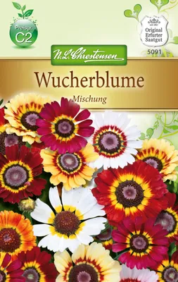 Produktbild von Wucherblume Mischung  | Blumensamenmischung von N.L. Chrestensen