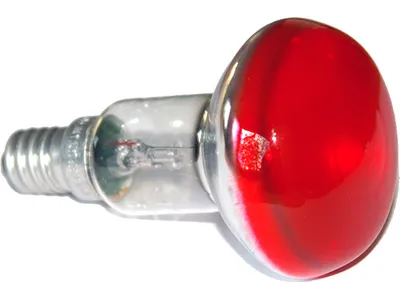 Image de Ampoule à réflecteur Ormalight Spot Color R50 25 W E14, couleur rouge