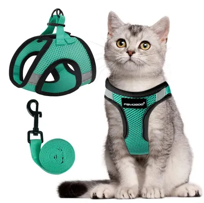 Produktbild von Katzengeschirr mit Leine Ausbruchsicher Grün Größe XL