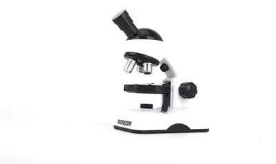 Image de Microscope
