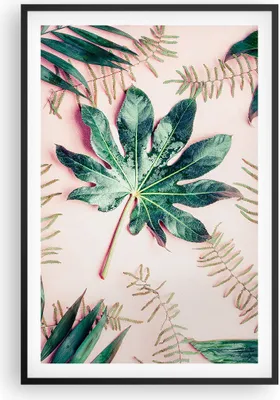 Produktbild von Gerahmtes Poster - Schwarzer Rahmen - Blatt Tropisch Palme - 61x91,5 cm - Wand Bild - Wanddeko - Wandbilder - Kunstposter - Wandposter - Bilderrahmen - Bilder - Kunstdruck - Wandbild - P2BPA61x91-4314