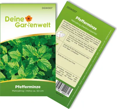 Pfefferminze Mehrjährig Samen - Mentha piperita - Pfefferminzesamen - Kräutersamen - Saatgut für 100 Pflanzen