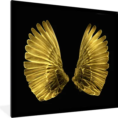 Produktbild von MuchoWow® MuchoWow® Gerahmtes Poster Goldene Flügel auf schwarzem Hintergrund 40x40 cm - Poster mit zchwarzem Bilderrahmen - Mit Rahmen - Wanddekoration Schlafzimmer