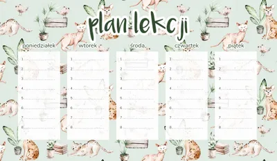 Productafbeelding van Lesplan voor de koelkast, magnetisch, 45 x 26 cm