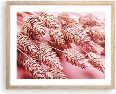 Produktbild von Gerahmtes Poster - Rahmen in heller Eiche - Klinge Gras getrocknet - 50x40 cm - Wand Bild - Wanddeko - Wandbilder - Kunstposter - Wandposter - Bilderrahmen - Bilder - Kunstdruck - P2NAA50x40-5120