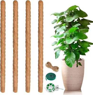 Obrázek produktu pro Famanu podpěry pro rostliny, 4 kusy, 64 cm - kokosová vlákna s upevňovacími stahovacími páskami a jutou