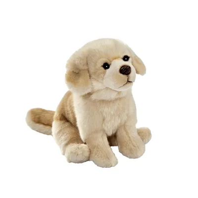 Produktbild von Anima - 1641 - Hund, Golden Retriever, sitzend, Plüsch, 30cm