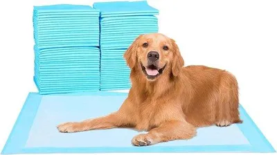 Produktbild von Wasserdichtes Hundetrainingsspielzeug - Blauer Pet Pad 100 Stück Extra Klein-Größe 30 x 48 cm