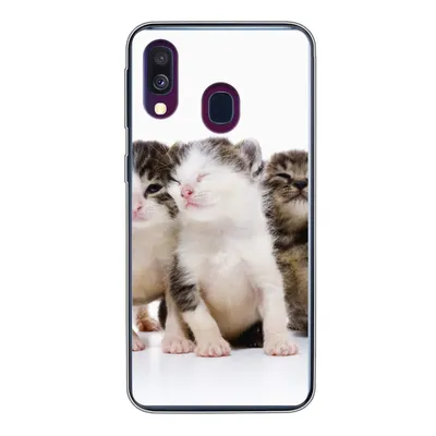 Produktbild von MuchoWow® Handyhülle Schutzhülle Hülle für Samsung Galaxy A40 Katze - Haustiere - Fell - Porträt Silikon Softcase Handy Hülle - Handy-Tasche