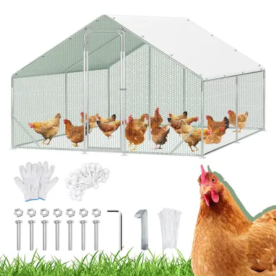 Image de Voliaire pour poules Peviasot, dimensions 3 x 4 x 2 m, surface de 12 m², toit en pente, tubes galvanisés de 25 mm, grillage en PVC vert et bâche de protection en PE blanc avec protection UV