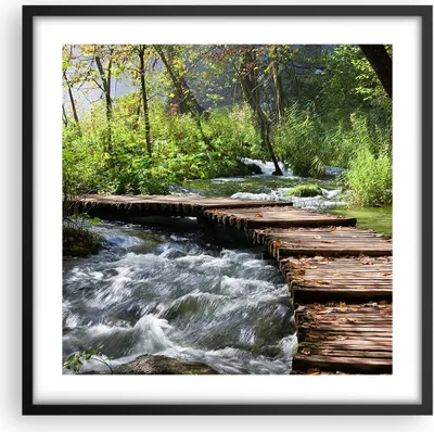 Produktbild von Gerahmtes Poster - Schwarzer Rahmen - Park natur grün bäume - 50x50 cm - Wand Bild - Wanddeko - Wandbilder - Kunstposter - Wandposter - Bilderrahmen - Bilder - Kunstdruck - Wandbild - P2BAC50x50-0356