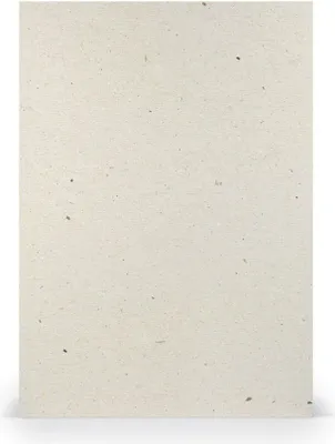 Produktbild von RÖSSLER 164012623 Briefbogen Paperado - A4, 240 g/qm, terra vanilla