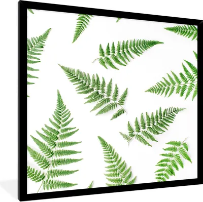 Produktbild von MuchoWow® Gerahmtes Poster Grün - Tropisch - Farn 40x40 cm - Poster mit Schwarzem Bilderrahmen Wandposter Rahmen Foto Bilder - Mit Rahmen - Wanddekoration Schlafzimmer