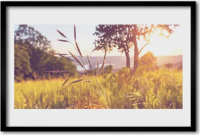 Produktbild von Bild 60x40 MDF-Rahmen Wandkunst Gras-Baum Wiese Natur