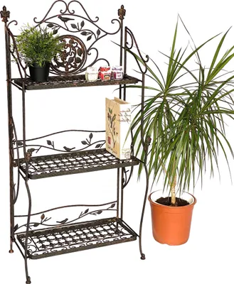 A metal shelf unit with plants and jars on it, next to a potted plant.