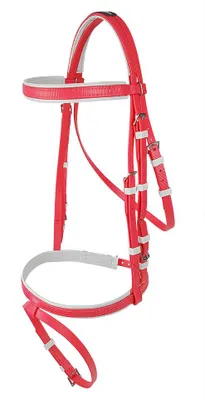 Produktbild von Zilco Hannoveraner Zaumzeug Pony Rot