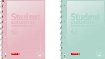 Two spiral-bound notebooks, one pink and one mint green, are shown side-by-side against a white background.