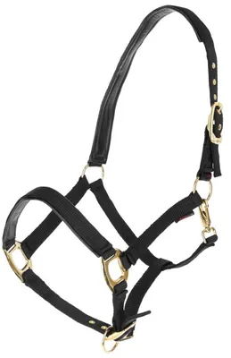 Produktbild von Covalliero Halfter TopLine Nylonhalfter Black Pony