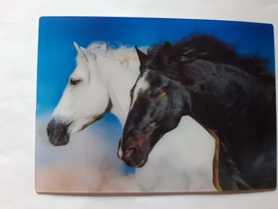 Produktbild von 3 D Ansichtskarte Pferde, schwarz + weiß,  Postkarte Wackelkarte Hologrammkarte, Tier Pferd