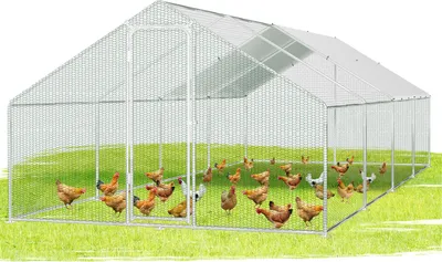 Immagine prodotto di Bettizia pollaio pollaio tetto pollaio piccolo animali stalle ruspanti recinto con porta chiudibile, 3 x 8 x 2 m