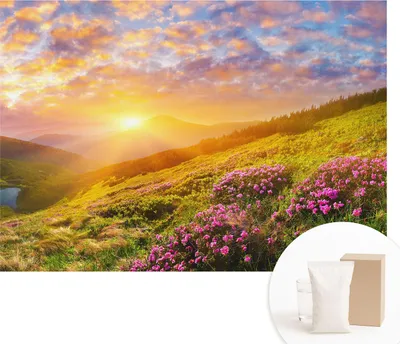 Obrázok produktu pre Samolepiaca fototapeta – nástenné obrazy do obývacej izby – 312 x 219 cm – dekoratívna fólia na stenu – moderný dizajn na dekoráciu stien – tapety do interiéru – horský západ