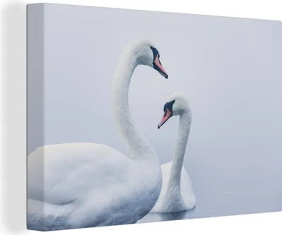 Obrázok produktu pre OneMillionCanvasses® - Obrazy na plátne - 140x90 cm, Labute - Vták - Biela, Nástenná umelecká tlač Nástenná dekorácia - Fotografia na plátne - Obraz na drevenom ráme