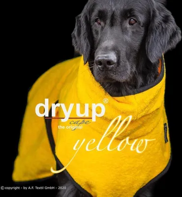 Produktbild von Dryup Cape yellow XL (70cm)