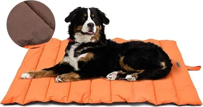 Produktbild von Hundematte wasserdichte Hundematte für Outdoor Waschbares Hundebett, Hygienisch, Faltbar, Große Reisedecke für Haustier 110 x 68 cm