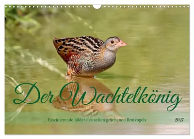 Produktbild von Der Wachtelkönig (Wandkalender 2027 DIN A3 quer), CALVENDO Monatskalender