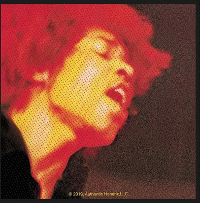 Obrázek produktu pro Jimi Hendrix - nášivka "Electric Ladyland" - polyester RO8342 (One Size) (Pestrobarevná)