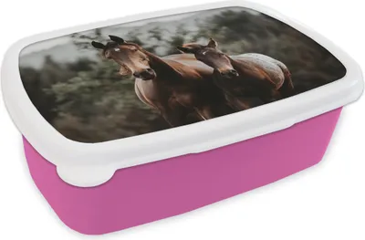 Produktbild von KitchenYeah® Lunchbox Brotzeit Brotdose 17x11 cm Pferde - Wald - Berge Kinder Brotzeitdose - Lunchpaket - Brotkasten  - Sandwich Box