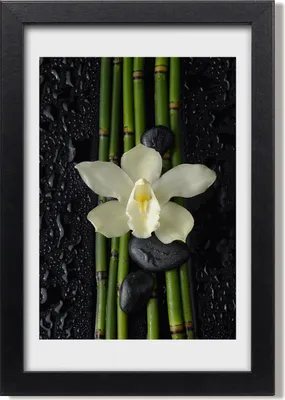 Produktbild von Bild 20x30 MDF-Rahmen, Wandkunst Orchidee und Bambus