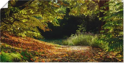 Produktbild von ARTland Poster Herbstteppich Größe: 100x50 cm