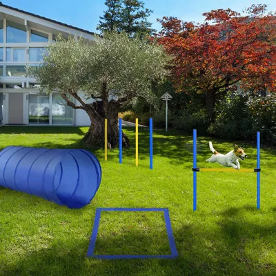Produktbild von SUGIFT Hunde Agility Set, höhenverstellbar, Agility Ausrüstung Hund, mit Hundetunnel, PE/Polyester, Gelb+Blau | 60x60x148 cm | 4 Slalomstangen | 2,95 kg