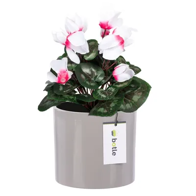 Produktbild von Blumentopf Blumenübertopf Gehäuse Farbe Hellgrau Rund Ø 16,5cm H 16cm Glanz Oberfläche Modern Glamour