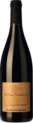Produktbild von Antoine Sanzay Saumur Champigny La Haye Dampierre 2021 Rotwein Frankreich Saumur 75.00 cl 13.0 %