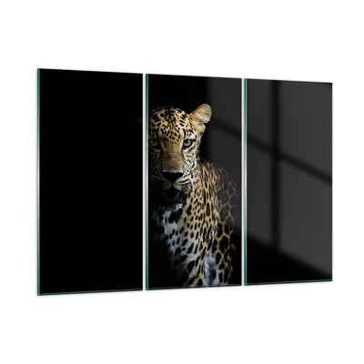 Produktbild von Bilder auf glas - 3 Teile - Schattig Leopard Panther - 105x70cm - Glasbilder - Wandbilder - Bilder - zum Aufhängen bereit - Wanddekoration aus Glas - Glas Bilder - Wandbild auf Glas - GCE105x70-4585