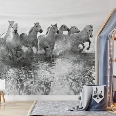 Produktbild von A.S. Création Vlies Fototapete Pferde White Horses DD118941 Tiere Designwalls
