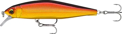Produktbild von Rapala Precision Xtreme Air Boss 100 Golden Alburnus