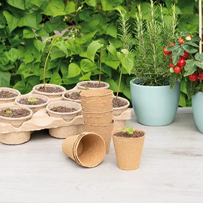 Imagen del producto de Macetas biodegradables, de 8 cm de diámetro, paquete de 10 unidades, para la germinación de plántulas
