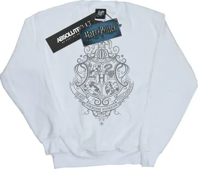 Produktbild von Harry Potter - "Hogwarts Draco Dormiens" Sweatshirt für Herren BI27580 (M) (Weiß)