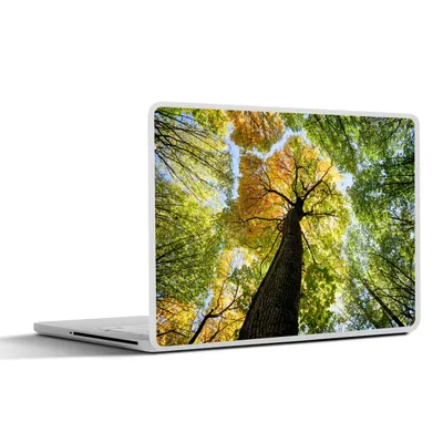 Produktbild von MuchoWow® Laptop Aufkleber Sticker Cover Baum - Natur - Wald 30x21 cm - Sticker für Laptop - Selbstklebend
