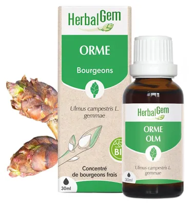Immagine prodotto di Herbalgem - Germoglio di olmo - Biologico - 30 ml