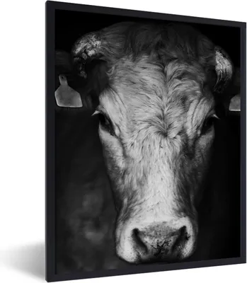 Produktbild von MuchoWow® Gerahmtes Poster Tiere - Kuh - Schwarz - Weiß - Kuhkopf 60x80 cm - Poster mit Schwarzem Bilderrahmen Wandposter Rahmen Foto Bilder - Premium - Wanddeko Wohnzimmer