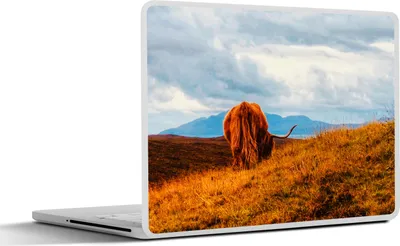 Produktbild von MuchoWow® Laptop Aufkleber Sticker Cover Schottisches Hochlandrind - Gras - Berg 32.5x23.5 cm - Sticker für Laptop - Selbstklebend